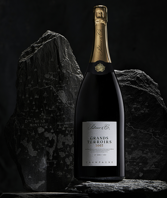 Champagne Grands Terroirs 2003 Magnum en coffret
