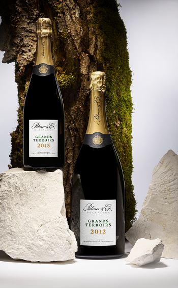 Champagne Grands Terroirs 2012 Magnum en étui - Mise en situation