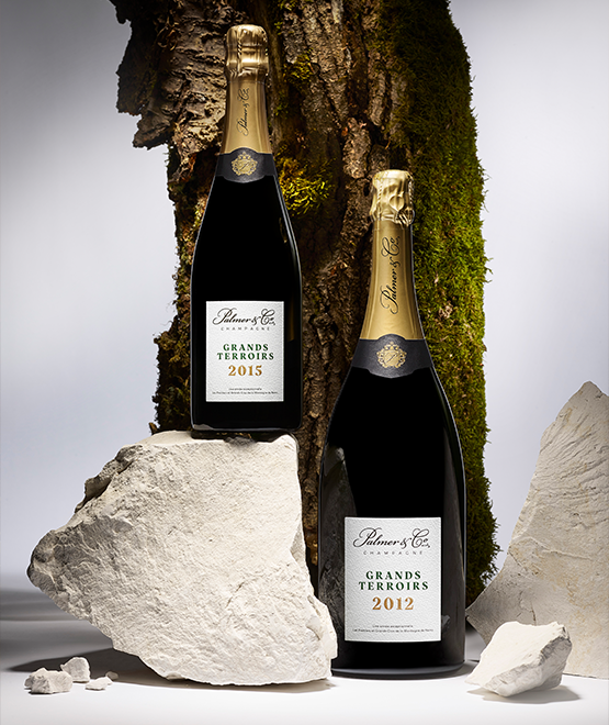 Champagne Grands Terroirs 2012 Magnum en étui