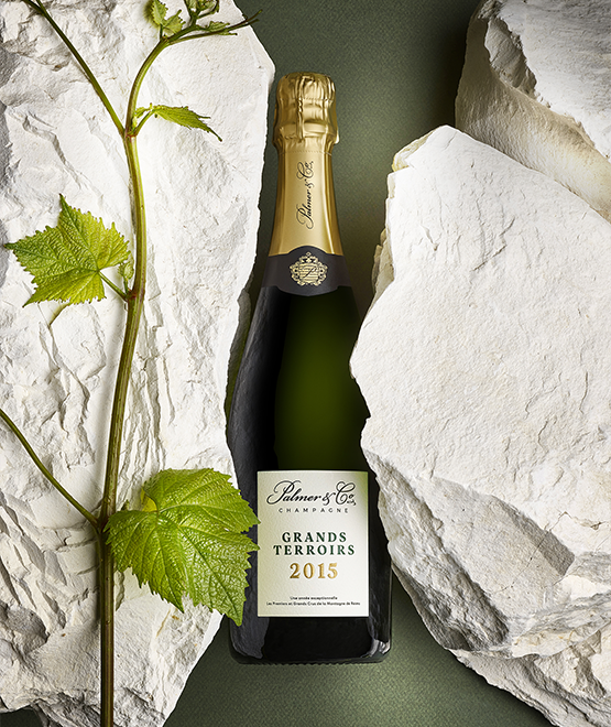 Champagne Grands Terroirs 2015 en étui