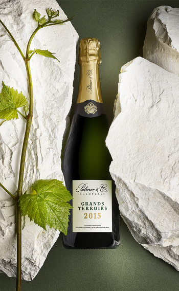 Champagne Grands Terroirs 2015 en étui - Mise en situation