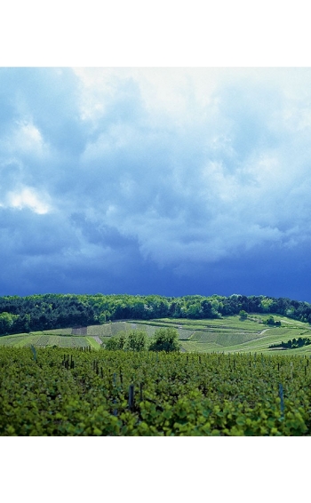 Champagne Grands Terroirs 2018 en étui - Mise en situation