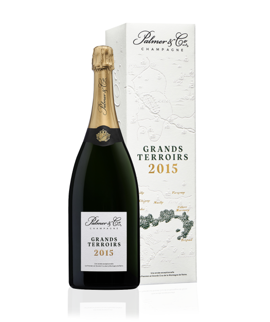  Champagne Grands Terroirs 2015 Magnum en étui 