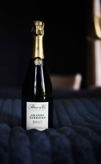 Champagne Grands Terroirs 2015 Magnum en étui - Mise en situation