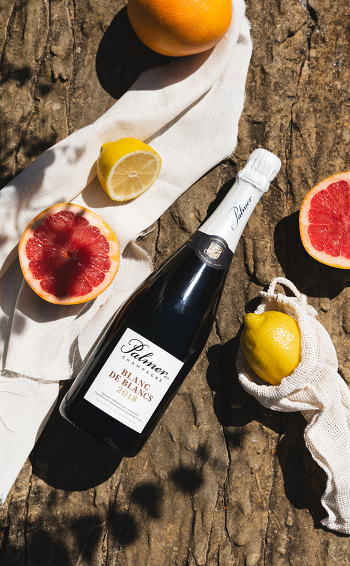 Champagne Blanc de Blancs - Mise en situation