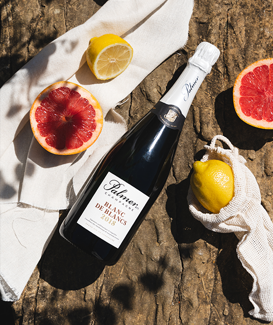Champagne Blanc de Blancs en étui