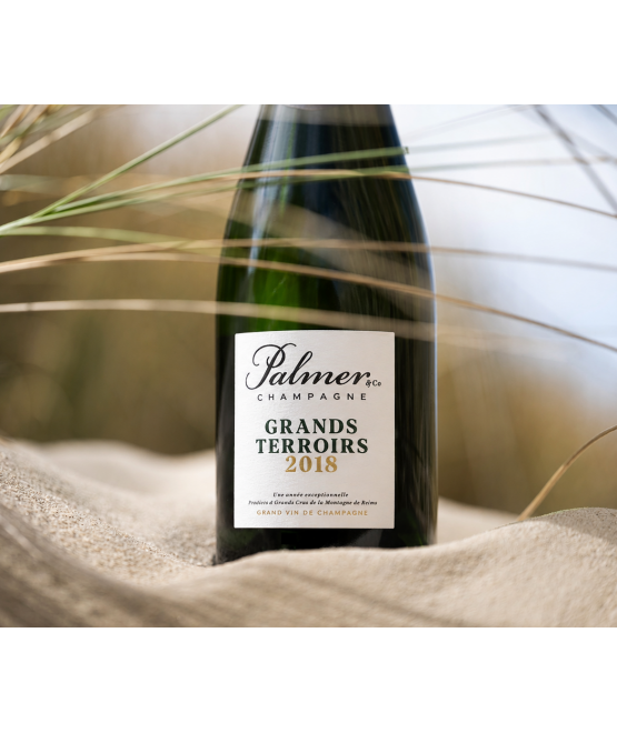 Champagne Grands Terroirs 2018 en étui
